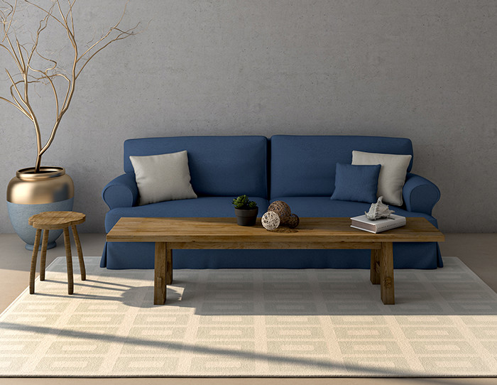 carpet_for_blue_sofa